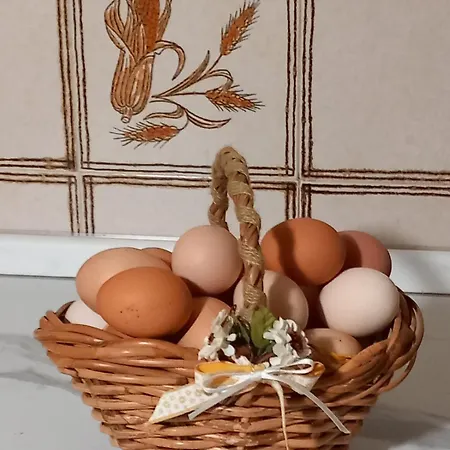 Bed & Breakfast Castello Regina Couette-café